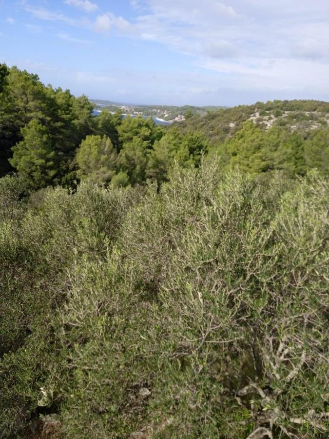 Svema Apartman Vela Luka Bagian luar foto