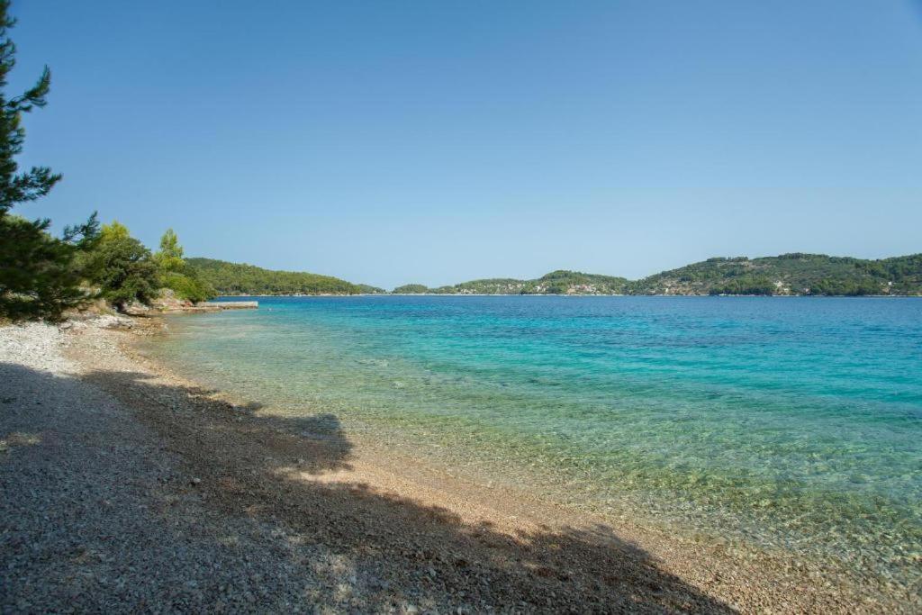 Svema Apartman Vela Luka Bagian luar foto